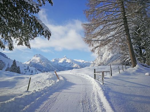 Foto Winterwanderweg mit den Bergen des Talabschlusses im Hintergrund - zum Foto
