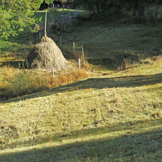 Foto um eine Stange aufgehäuftes Heu - zum Foto