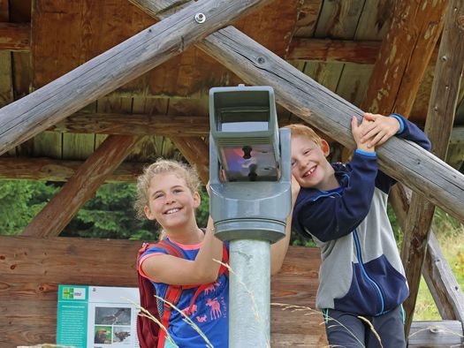 Mit einem installierten Fernrohr entdecken die Kinder in der Ferne vielleicht Steinböcke - zum Foto