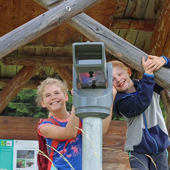 Mit einem installierten Fernrohr entdecken die Kinder in der Ferne vielleicht Steinböcke - zum Foto