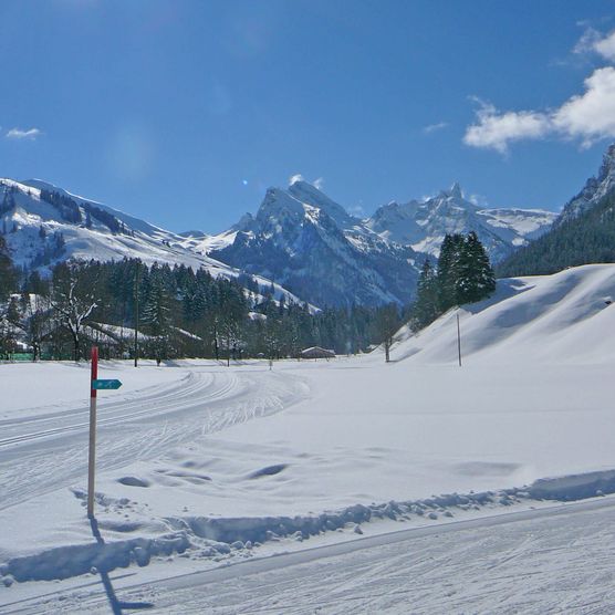 Picture Cross-country skiing trail at the Rear Diemtigtal - to the picture