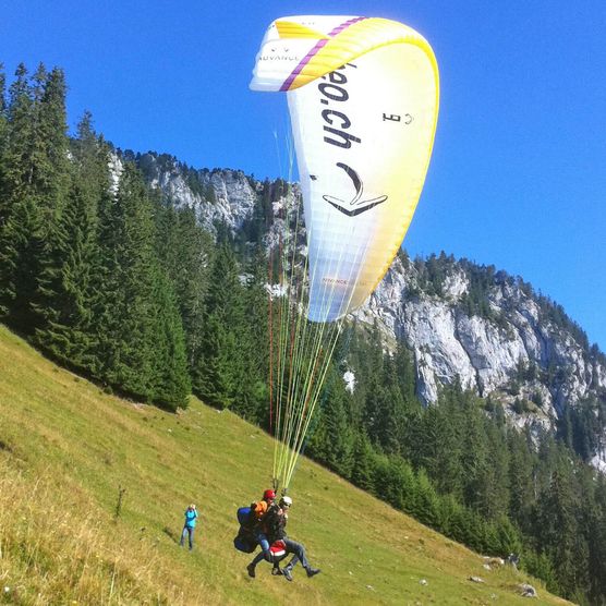 Foto Flugstart am Hang - zum Foto